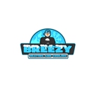 Breezy Heating and Cooling - Fireplaces