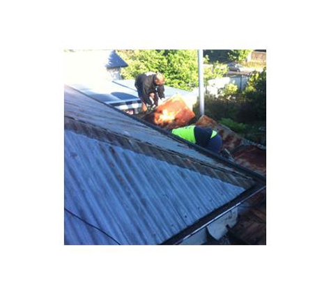 Apex Sydney Roofing - Glenmore Park, NSW