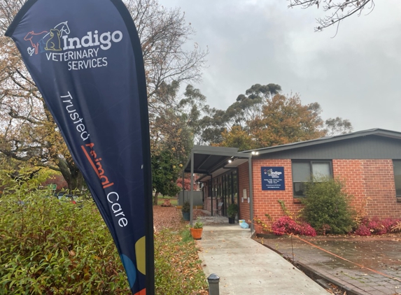 Indigo Veterinary Services - Beechworth, VIC