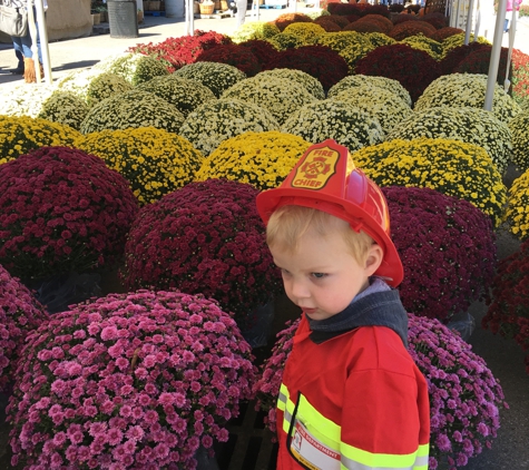 Nashville Farmers' Market - Nashville, TN. Fall mums are amazing and a steal at 2 for $20