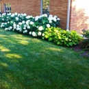 Beautiful Blooms - Landscape Contractors