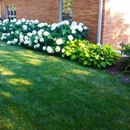 Beautiful Blooms Landscape & Design - Landscape Contractors