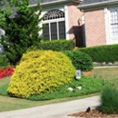 Dorler Landscape Designs - Landscape Contractors