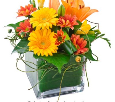 Janine Florist - Canberra City, ACT