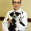 Elk Grove Veterinary Specialty & Emergency gallery