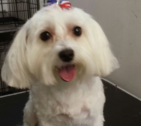 Puppycutz Pet Spa - Seffner, FL