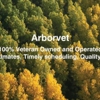 Arborvet Tree Care gallery