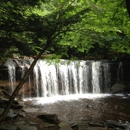 Ricketts Glen State Park - Parks