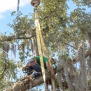 Pete & Ron's Tree Service Inc - Tree Service