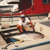 Alyce C Sport Fishing gallery