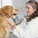 The Animal Clinic - Veterinary Clinics & Hospitals