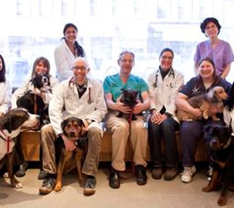 Animal Kind Veterinary Hospital - Brooklyn, NY