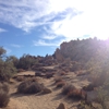 Joshua Tree Lake RV & Campground gallery