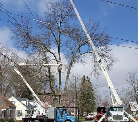 Hinman Tree Service, L.L.C. - Wakeman, OH