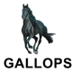 Gallops Gas Station, Truck Stop & Travel Center of Kendallville