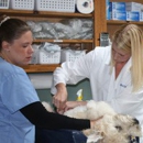 Old Dominion Animal Hospital - Veterinarians