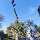 Flynn Tree Service - Tree Service