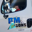 P.M & Sons Enterprises