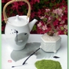 Green Tea Lovers gallery