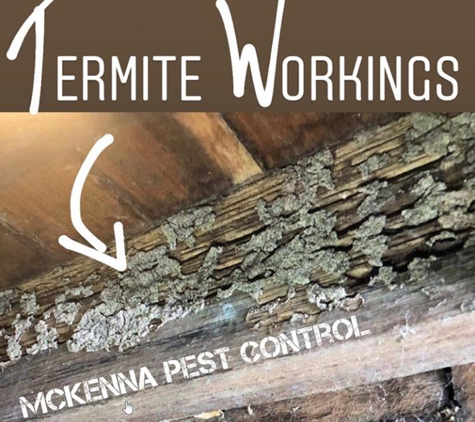 McKenna Pest Control (Qld) Pty Ltd