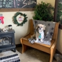 Bow-Wow Boutique Pet Salon& Salon