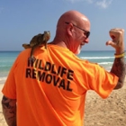 Local/US Wildlife Pro