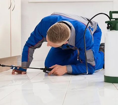 Hobart Pest Control - West Moonah, TAS