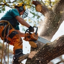Levi's Tree Service - Tree Service