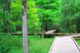 Lettuce Lake Park