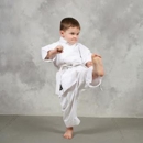 American Taekwondo Academy - Martial Arts Instruction