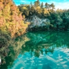Staybridge Suites Ocala-Near Equestrian-Aquatics by IHG gallery