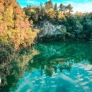 Staybridge Suites Ocala-Near Equestrian-Aquatics by IHG