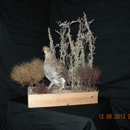 Shook's Taxidermy - Taxidermists