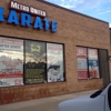 Metro United Karate gallery