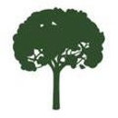 Absolute Tree Service - Tree Service