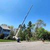 Martel Crane Service & Tree Removal gallery