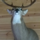 Spencer's Taxidermy - Taxidermists