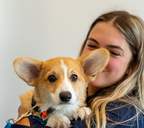 Torquay and Surfcoast Veterinary Clinics - Torquay, VIC