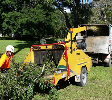 Wade's Tree Service - Andergrove, QLD. Mulching With Wades Tree Service