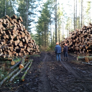American Forest Lands Washington Logging Company - Maple Valley, WA. Forestry Services offered by American Forest Lands WA Logging Company. Your BBB Trusted Loggers! Call: 1-800-LOG-ALOT(564-2568). Pacific NW