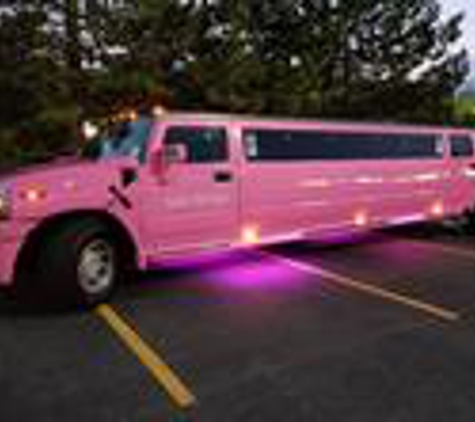 Way To Go Limousine, Inc. - Arlington Heights, IL