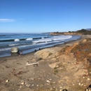 Friends of the Elephant Seal - Tourist Information & Attractions