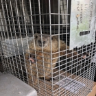 Waverly Pest Control Inc.