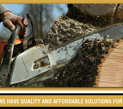 Specialised Tree Services - West Gosford, NSW. We Have Quality And Affordable Solutions For You