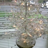 McDonough Chiropractor gallery
