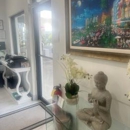LifeWell MD - Holistic Practitioners