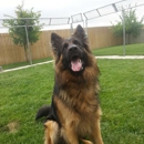 Willow Creek Kennels - Pet Boarding & Kennels