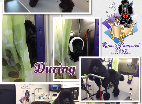 Roma's Pampered Paws - Pickerington, OH