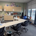 Access Physical Therapy & Wellness