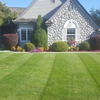 Pipos Lawn Care gallery